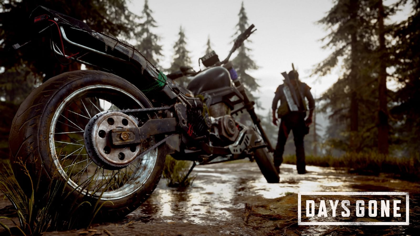 The Days Gone Day One Update is Massive