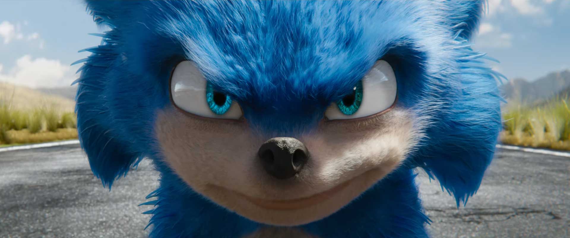 Sonic The Hedgehog