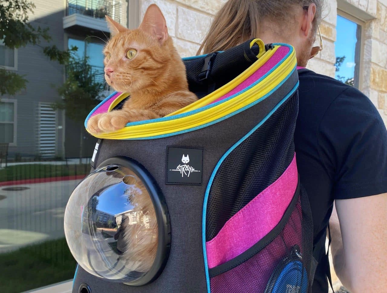 Stray game Backpack