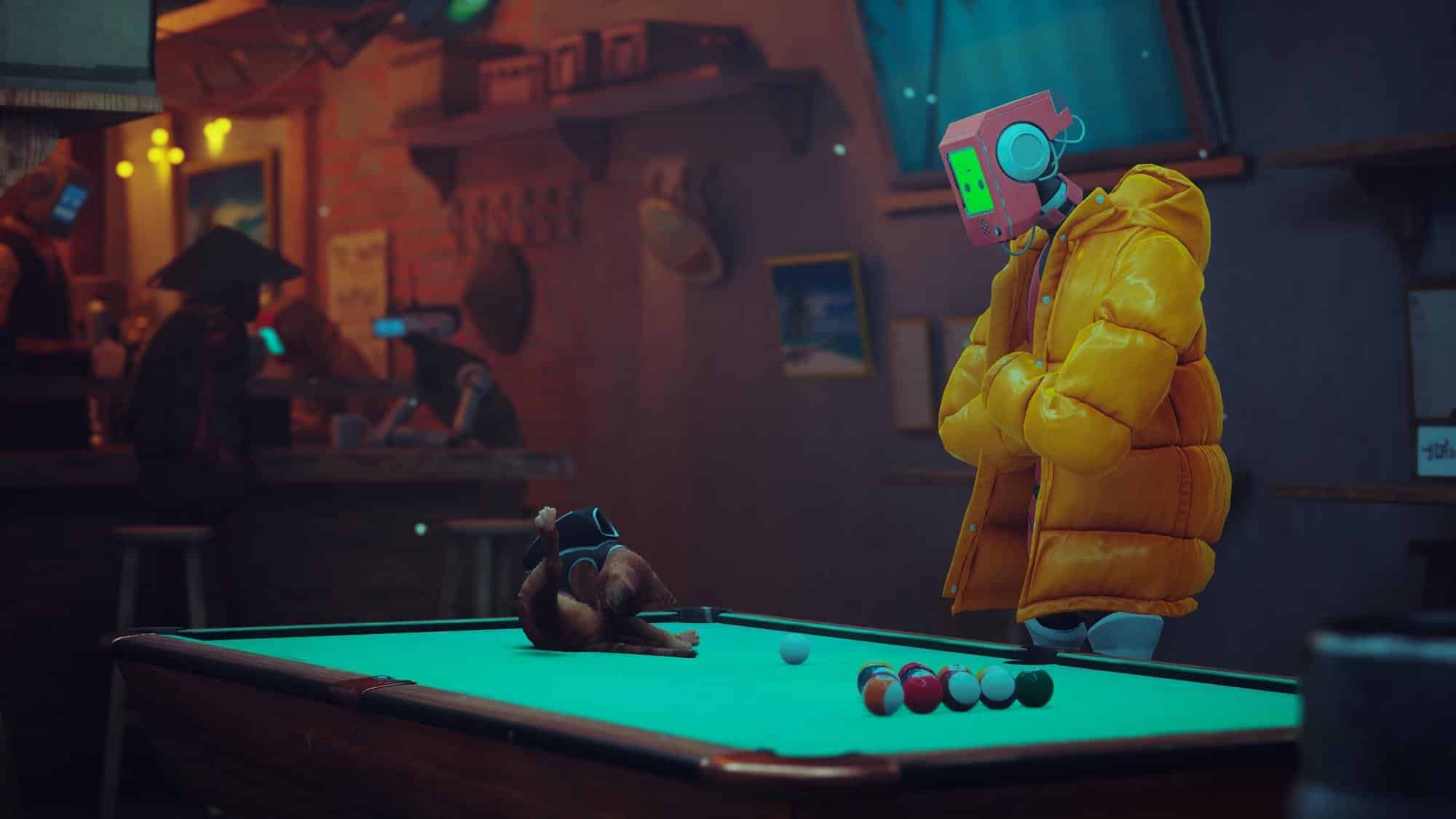 Stray Game PS4 PS5